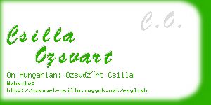 csilla ozsvart business card